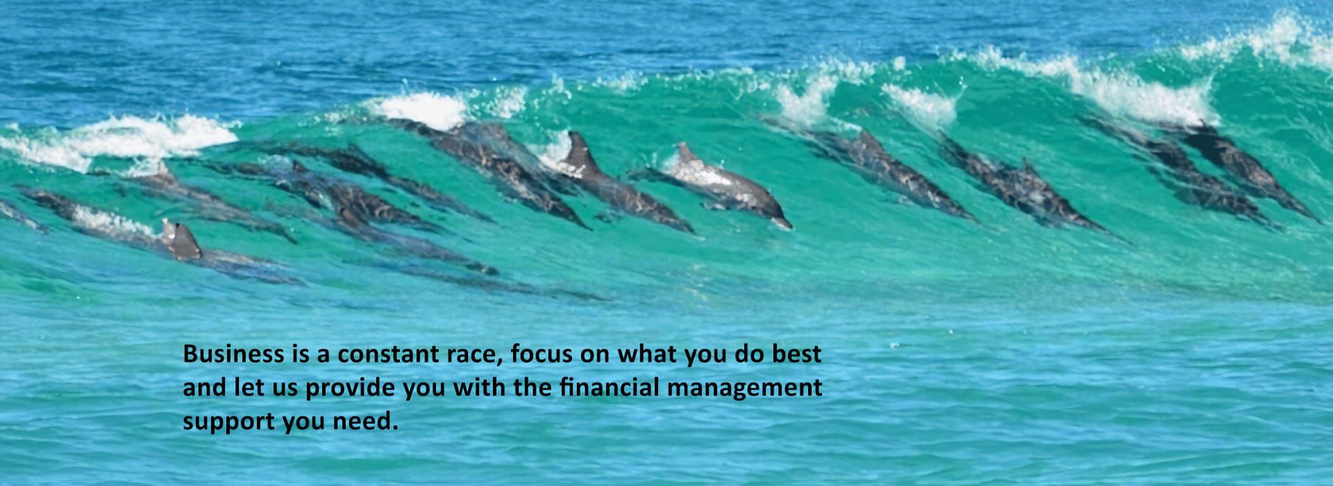 Financial Support Management